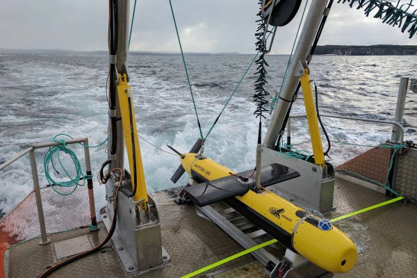 Оригинальная ссылка кракен браузера