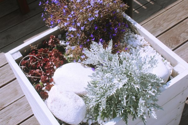 Кракен зеркало 2