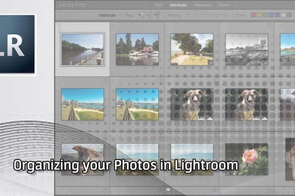 Как зайти в кракен с айфона