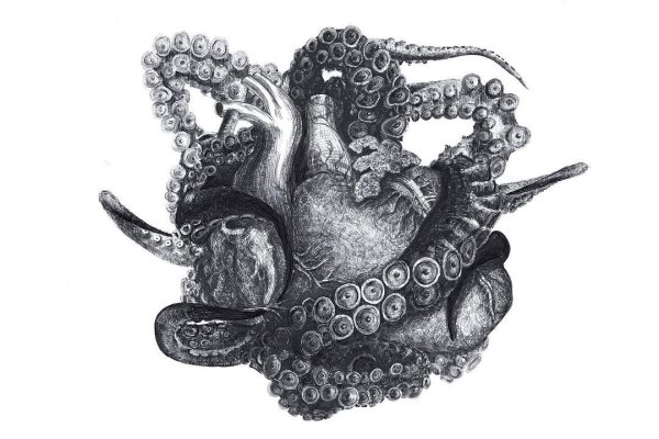 Кракен тор ссылка онлайн