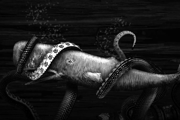 Кракен сайт как выглядит