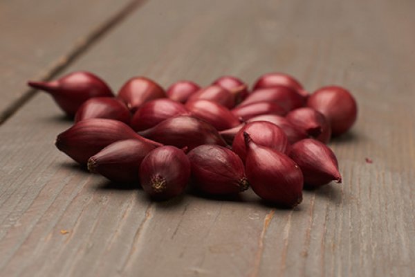 Ссылка кракен kraken torion net