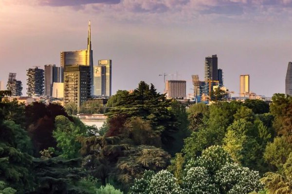 Услуги даркнета