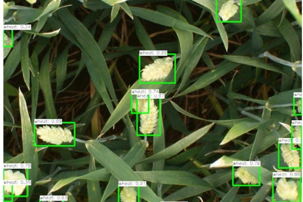 Кракен маркет дарнет только через тор