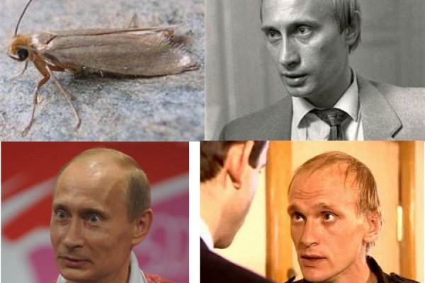 Кракен это даркнет маркетплейс