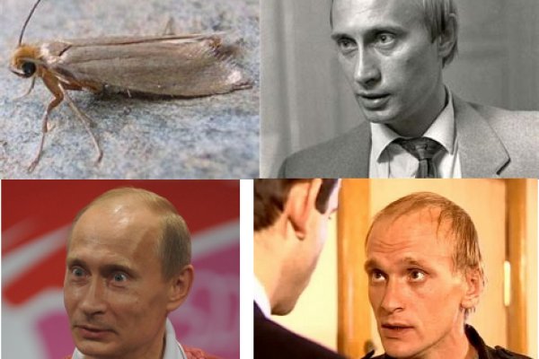 Кракен сайт 1kraken me вход