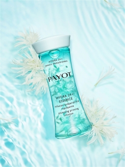 Ссылки мега кракен