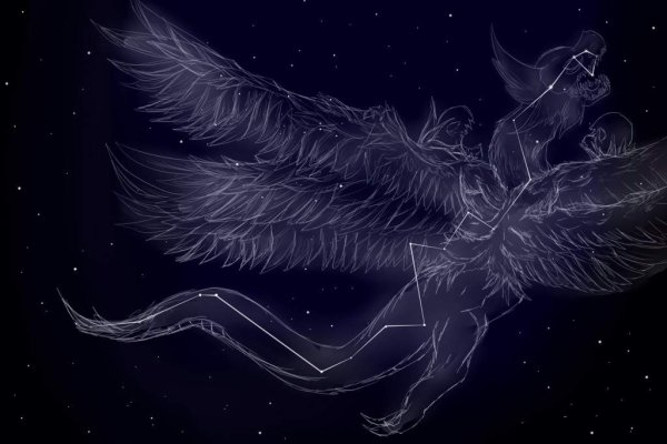 Kraken настоящая ссылка