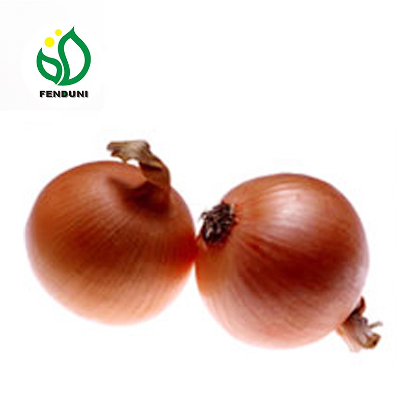 Кракен зеркало рабочее onion