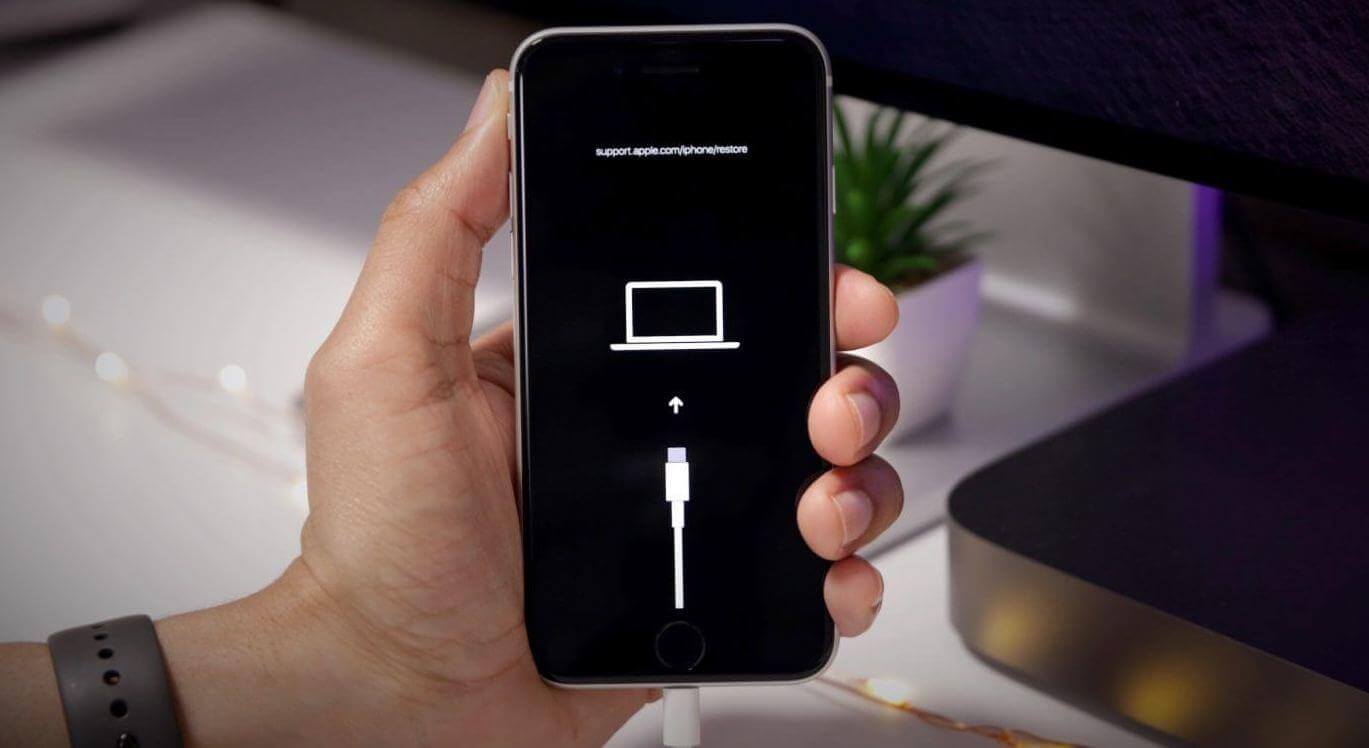 Darknet как войти